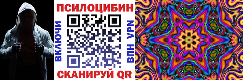 наркота  Дубна  Псилоцибиновые грибы прущие грибы 